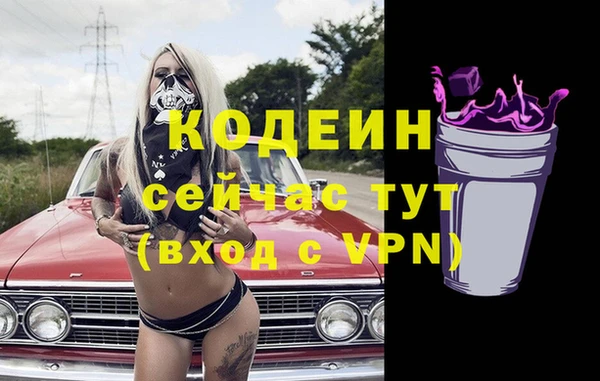 крисы Лабытнанги