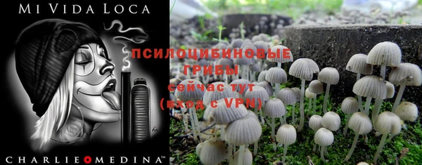 ПСИЛОЦИБИНОВЫЕ ГРИБЫ Осташков