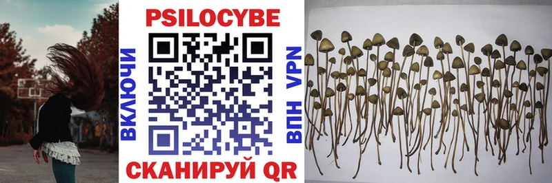 Галлюциногенные грибы Cubensis  Кирсанов 
