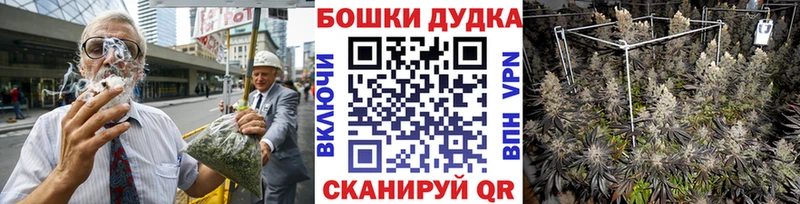 Бошки марихуана Amnesia  mega зеркало  Кирсанов 
